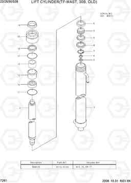 7261 LIFT CYLINDER(TF-MAST, 30B, OLD) 22B/25B/30B/32B-7, Hyundai