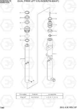 7380 DUAL FREE LIFT CYLINDER(TS-MAST) 50/60/70D-7E, Hyundai