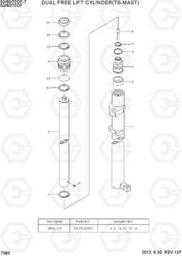 7380 DUAL FREE LIFT CYLINDER(TS-MAST) 50/60/70DF-7, Hyundai