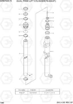 7380 DUAL FREE LIFT CYLINDER(TS-MAST) 50/60/70DS-7E, Hyundai