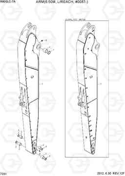 7231 ARM(6.5M. L/REACH, #0087-) R800LC-7A, Hyundai