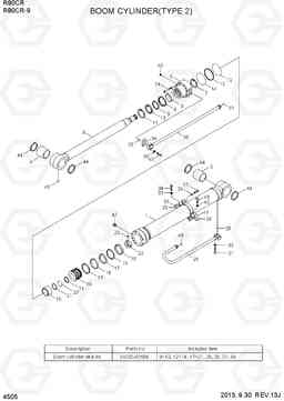 4505 BOOM CYLINDER(TYPE 2) R80CR-9, Hyundai